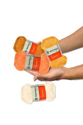 ETAMINE EMBROIDERY THREAD k316 Orange - Thumbnail